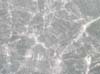 08800361
